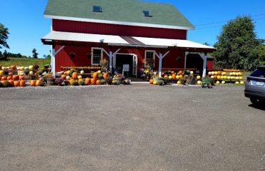 Clover Nook Farm