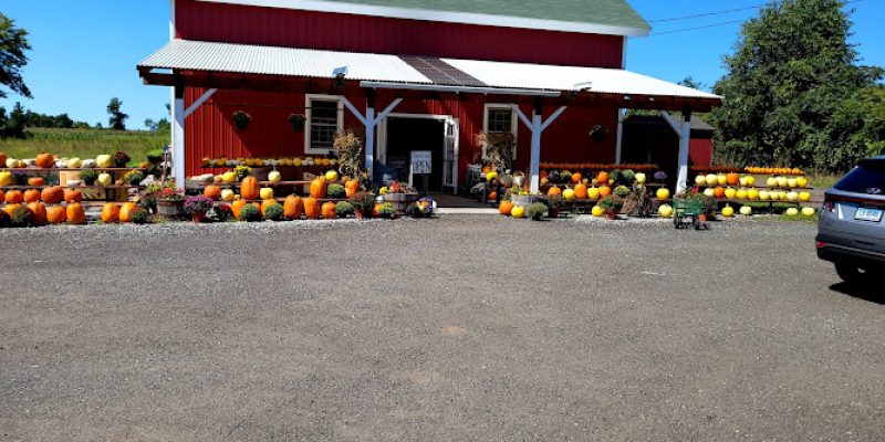 Clover Nook Farm