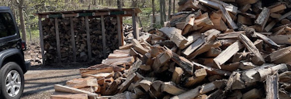 Firewood by Gus