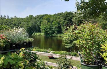 Riverside Nursery Garden Center & Florist