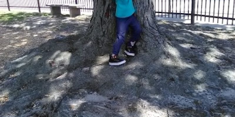 Lafayette Park