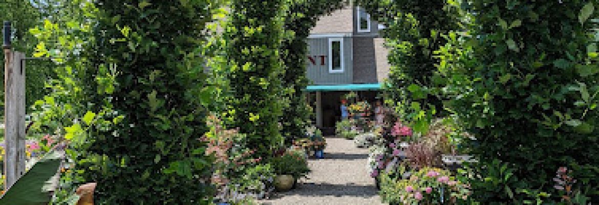 Kent Greenhouse & Gardens