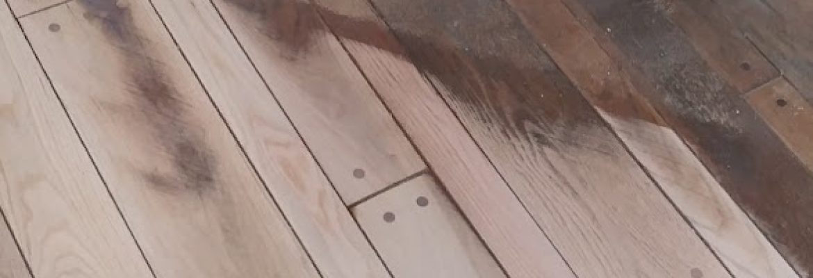 Chasse Hardwood Flooring