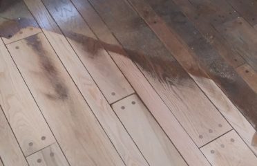 Chasse Hardwood Flooring