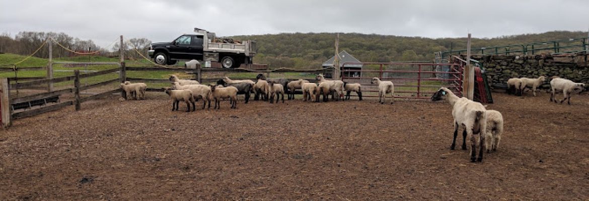 Penfield Farm Farm Stand