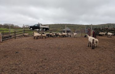 Penfield Farm Farm Stand