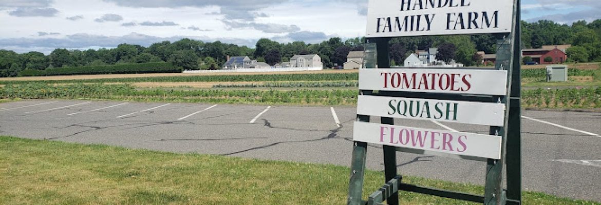 Handel Family Farm