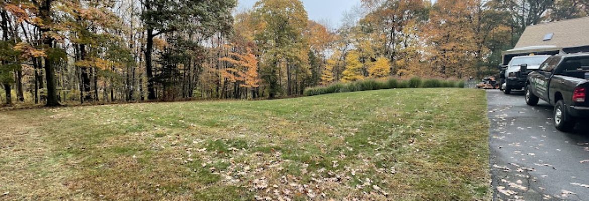 First Class Landscaping & Tree Service, LLC