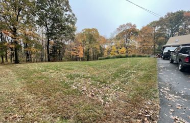 First Class Landscaping & Tree Service, LLC