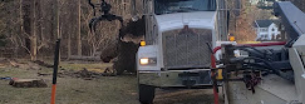 Arbor Care Tree Service, LLC