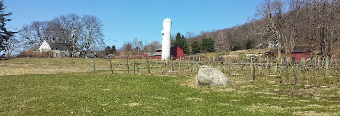White Silo Farm & Winery