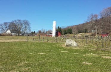 White Silo Farm & Winery