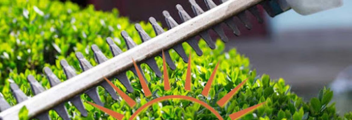 Sunview Property Services