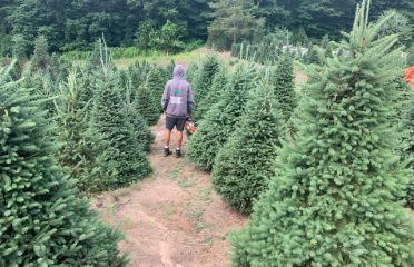 Scott’s Tree Farm