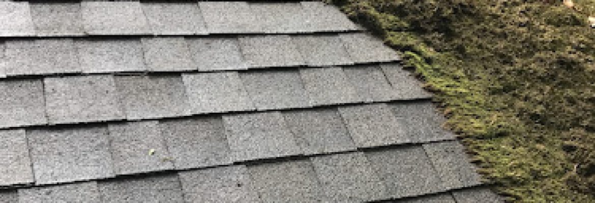 Holmes Improvement LLC
