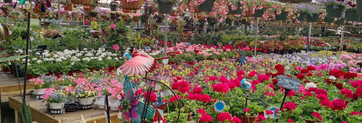 Moscarillo’s Garden Shoppe