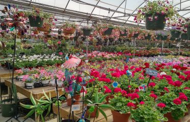 Moscarillo’s Garden Shoppe