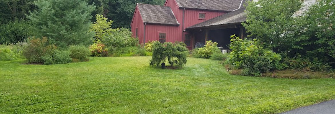 MowGreen LLC