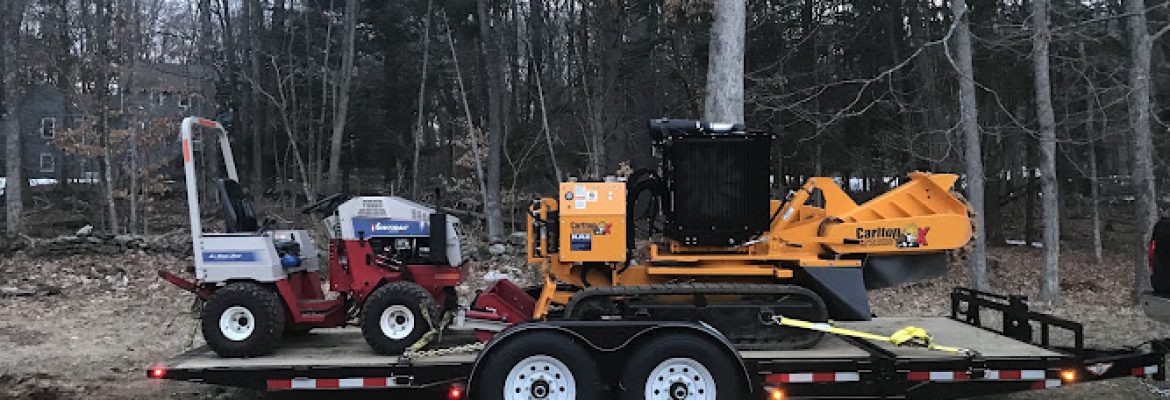 DB Stump Removal & Land Care
