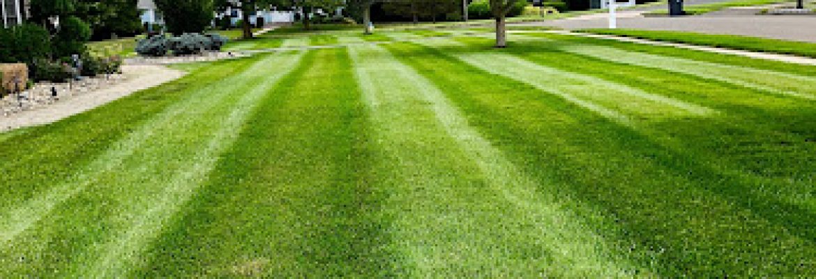 Central CT Lawn Service
