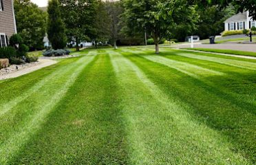 Central CT Lawn Service
