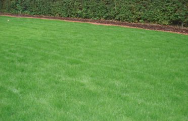 Natural Choice Lawn & Tree Care