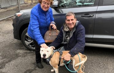 Naugatuck Animal Control