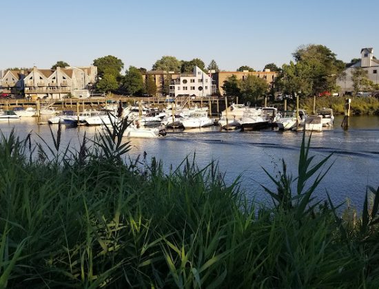 Oyster Shell Park