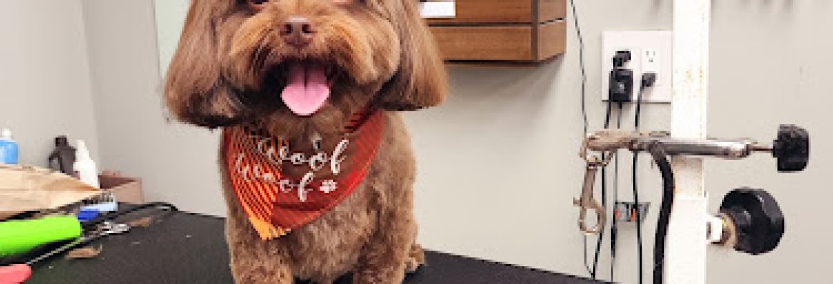 Woof To Purrfection