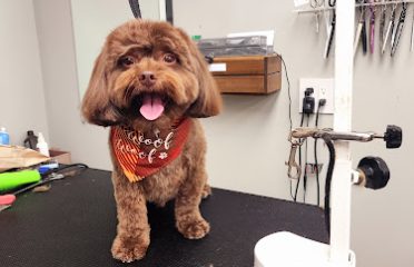 Woof To Purrfection