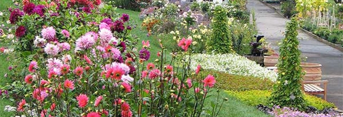 White Flower Farm Store & Gardens