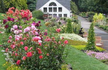 White Flower Farm Store & Gardens