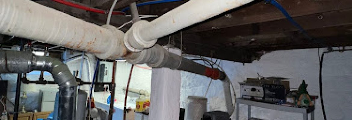 Master Rooter: Sewer and Drain Cleaning Service