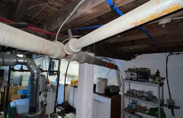 Master Rooter: Sewer and Drain Cleaning Service