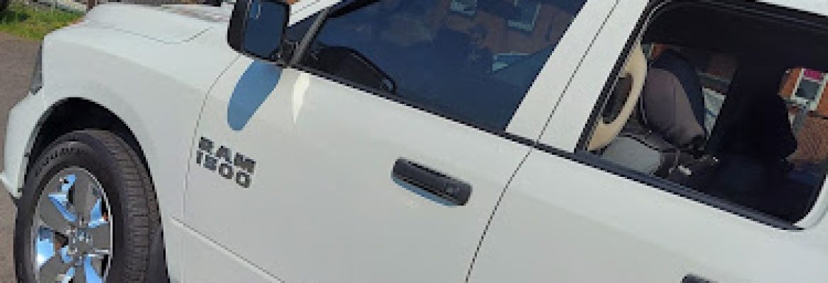 She Customs Auto Styling