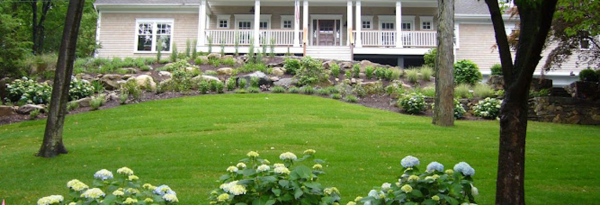 Cutn’ Edge Landscaping