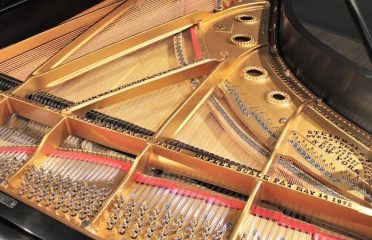 Caruso Piano Gallery