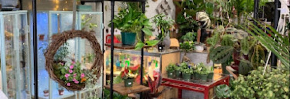 The Li ’l Plant Shop