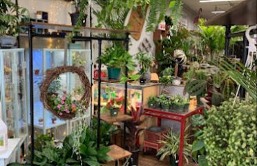 The Li ’l Plant Shop