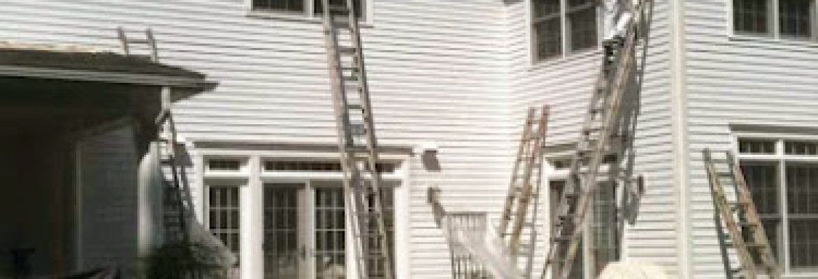 Flying Colors Painters