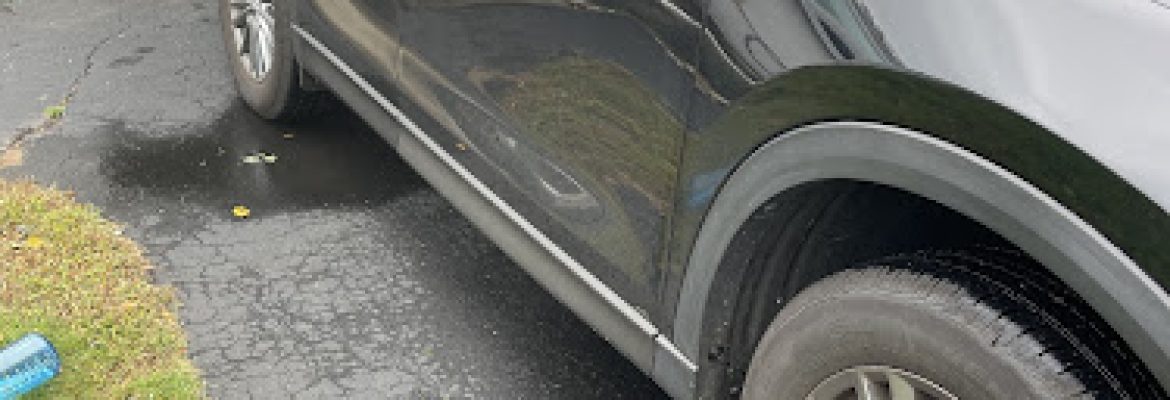 Absolute Auto Body