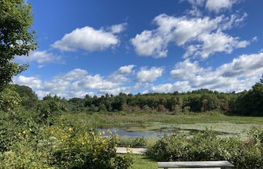 Fenton-Ruby Park