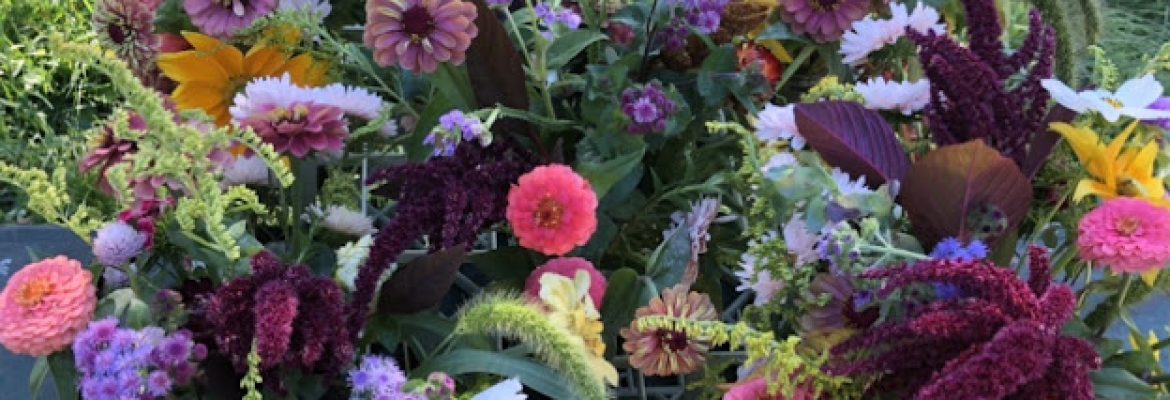 Estabrooks Farm & Garden