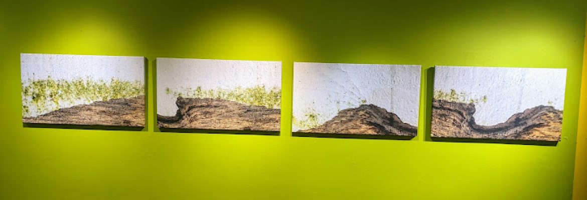 Souterrain Gallery