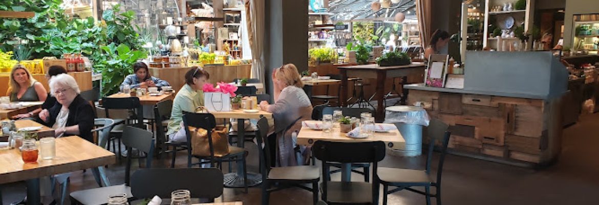 Terrain Cafe