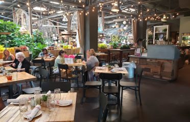 Terrain Cafe