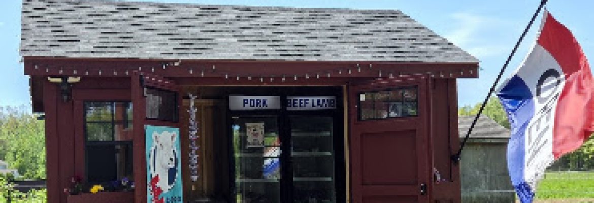 Sand Meadow Farm