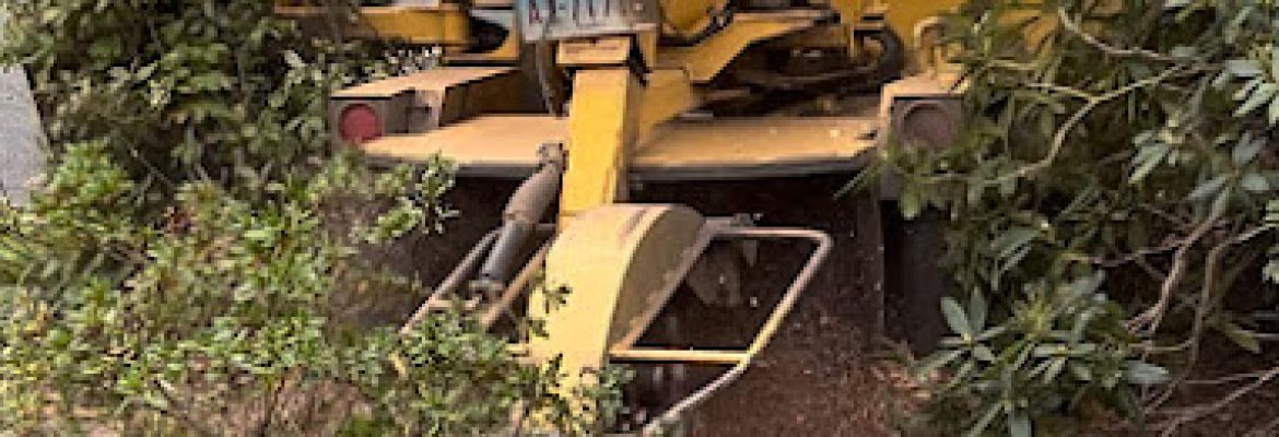 New England Tree Experts