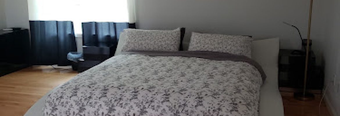 Lionheart Resort