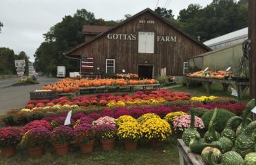 Gotta’s Farm